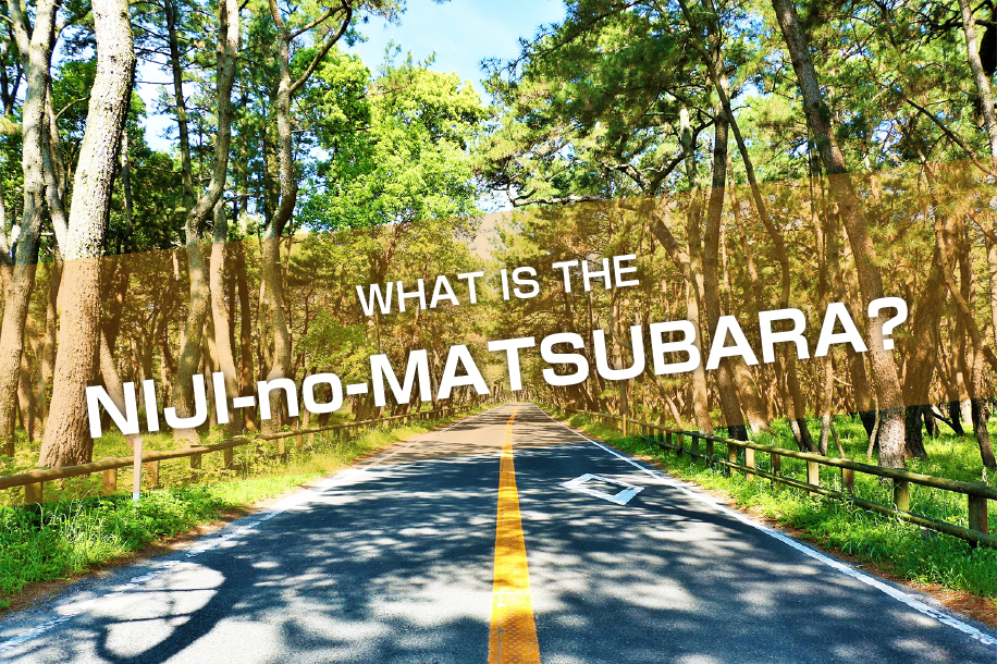 What is the NIJI no Matsubara