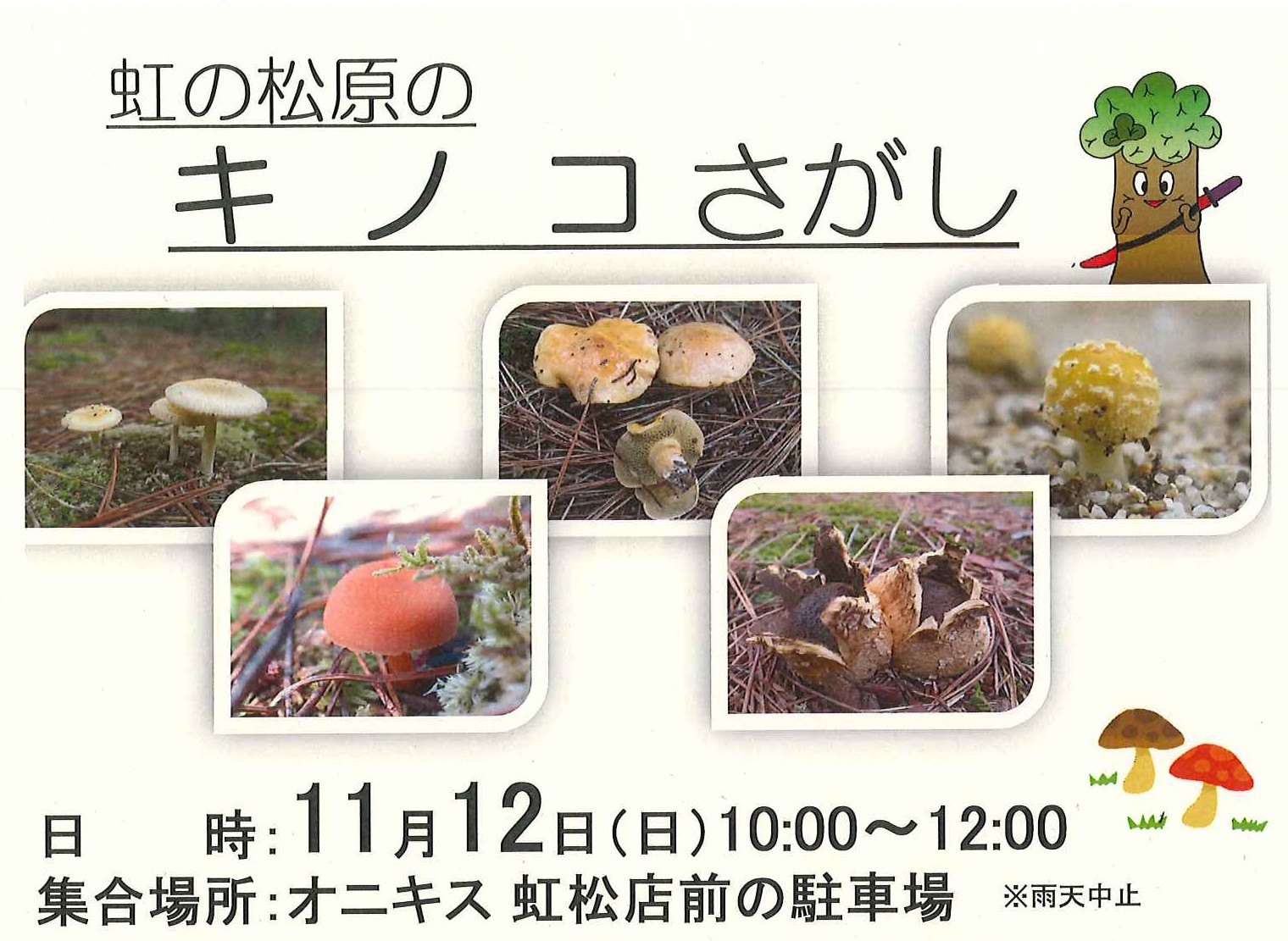 虹の松原のキノコさがし参加者募集 | 【公式】NPO法人唐津環境防災推進