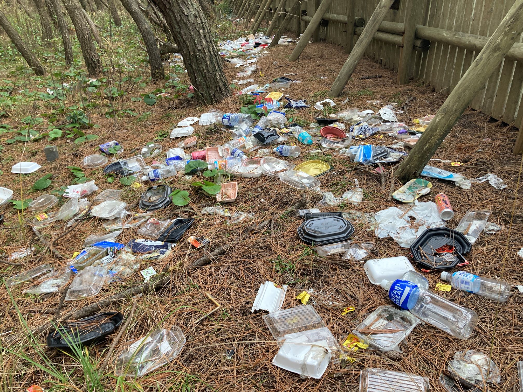 虹の松原で不法投棄がありました | 【公式】NPO法人唐津環境防災推進